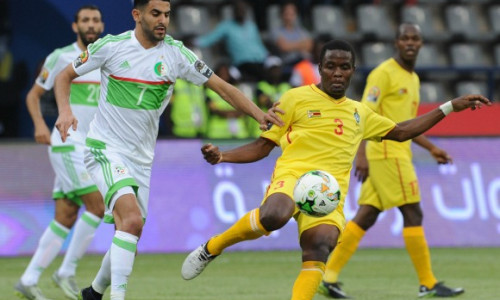 Soi kèo Gambia vs Algeria, 23h30 ngày 8/9 – Vòng loại Cúp châu Phi