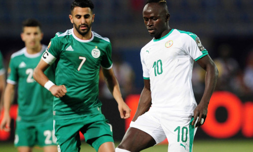 Link sopcast, acestream Senegal vs Algeria, 02h00 ngày 20/7: CAN Cup 2019
